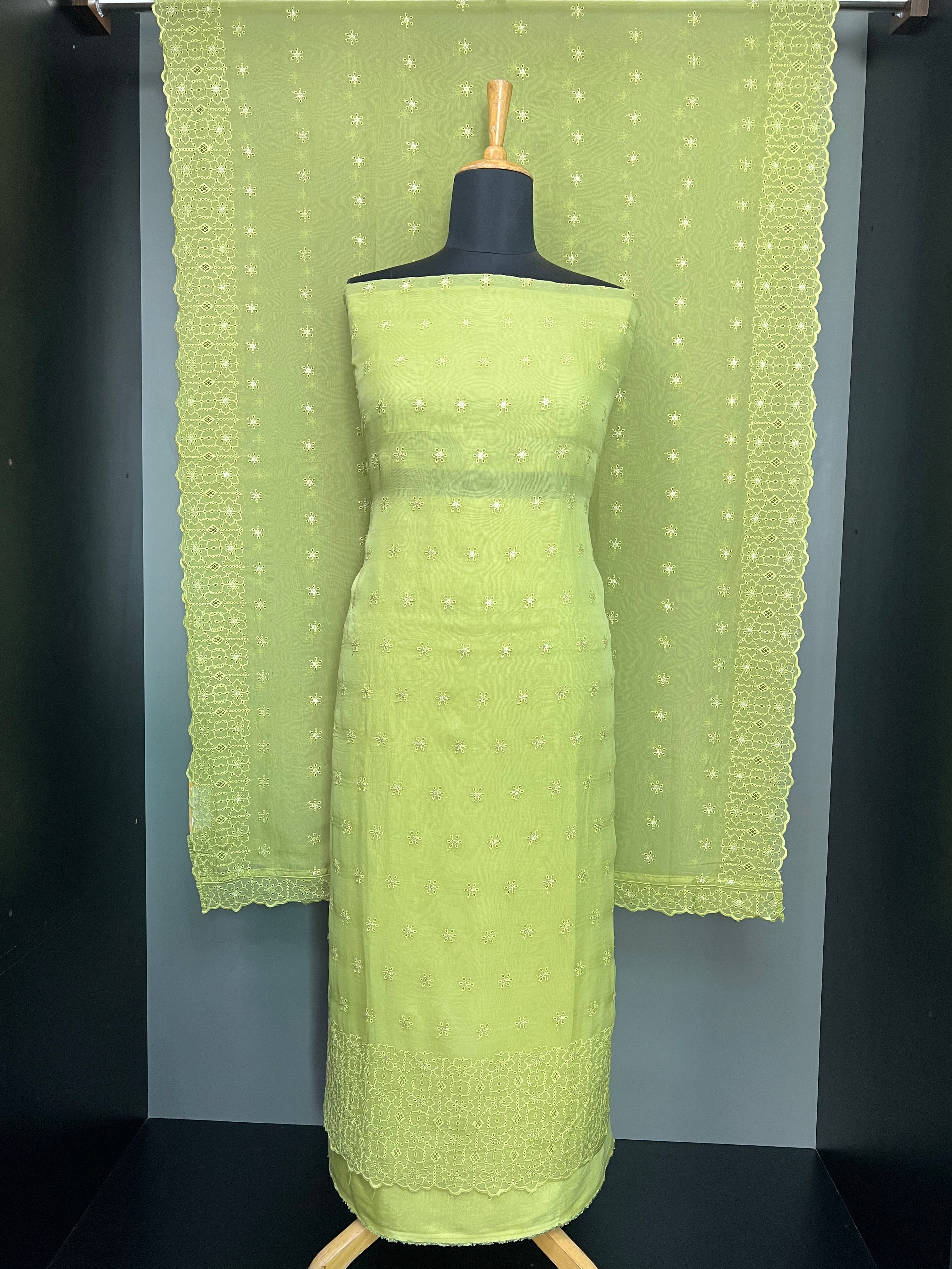 Schiffli With Sequins Detailed Organza Salwar Set | SP440