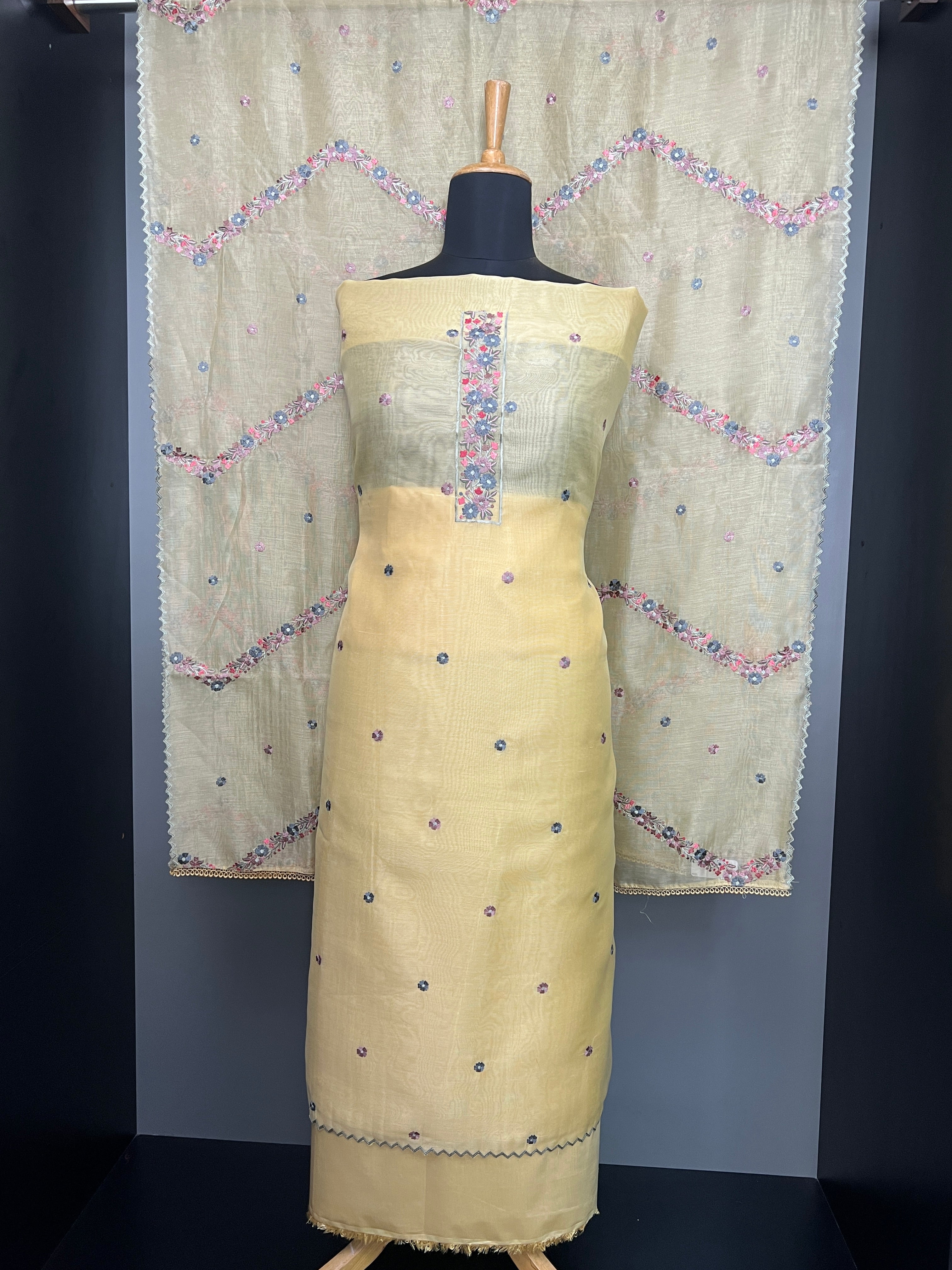 Multi-Color Floral Embroidered Tissue Organza Salwar Set | SUN665