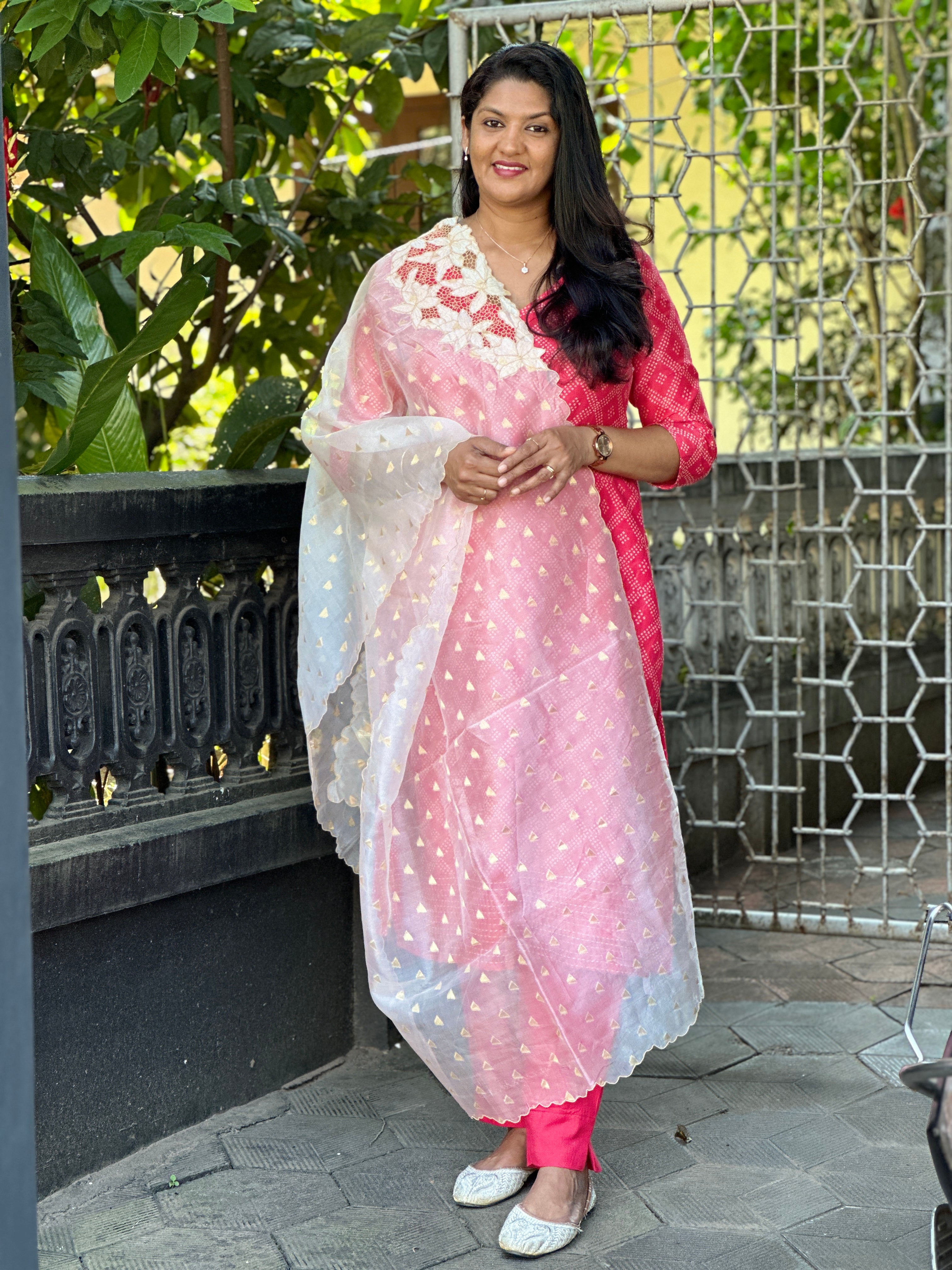 Twine Cutwork Detailed Silk Organza Dupatta | TC354