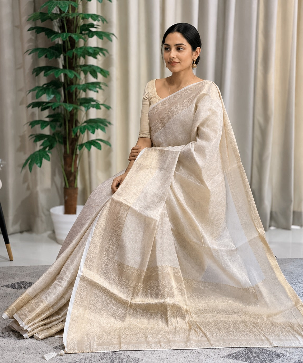 Floral Jaal Pattern Tissue Saree | HT153