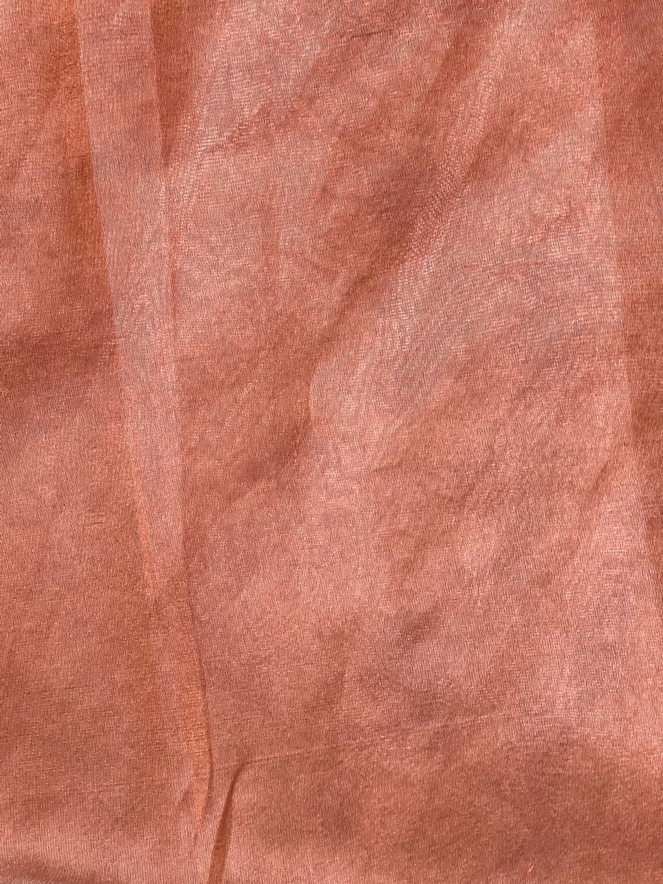 Floral Embroidered Organza Saree | ZSS141