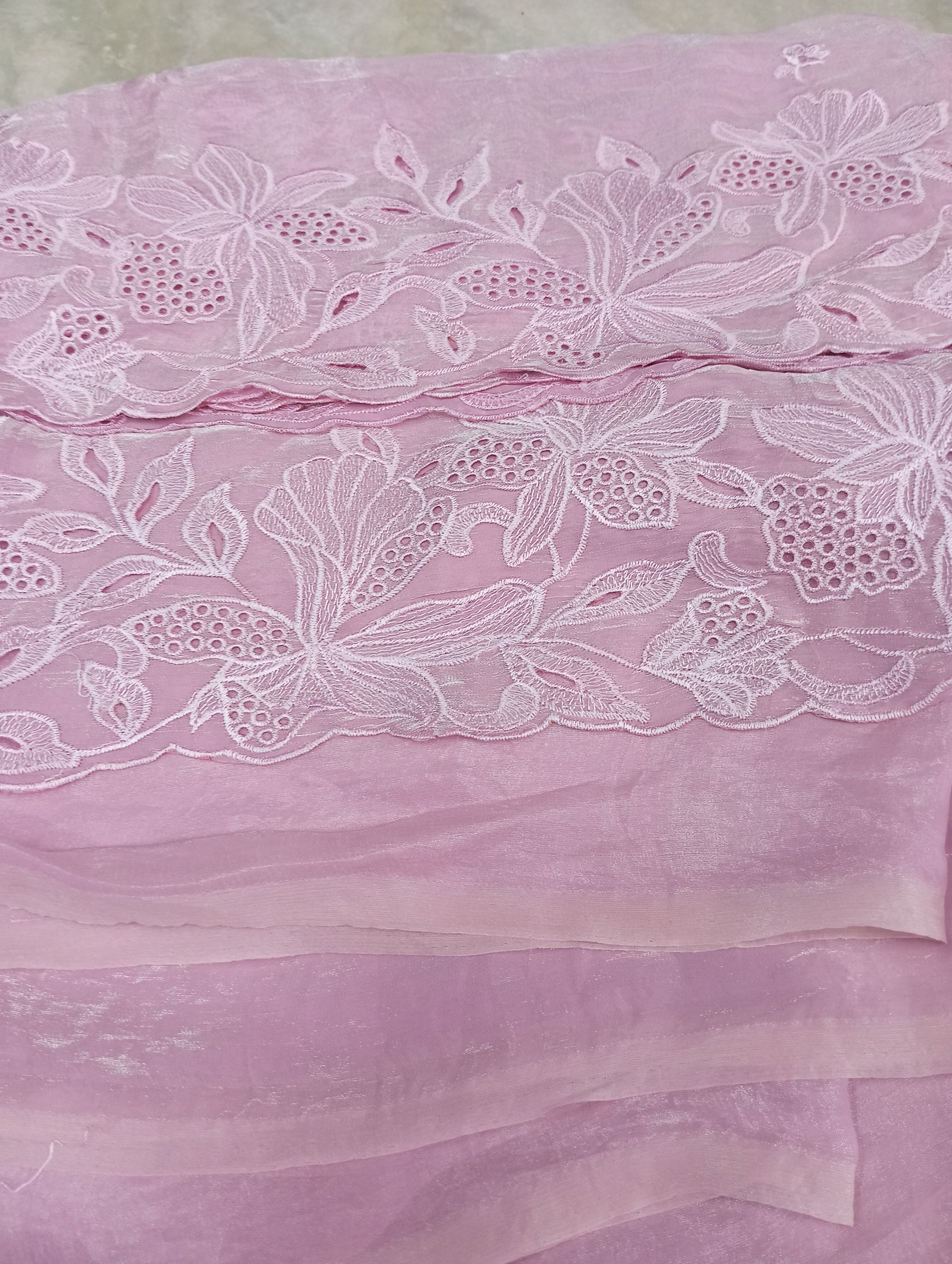 Cut-work Detailed Nylon Organza Saree | BLD485