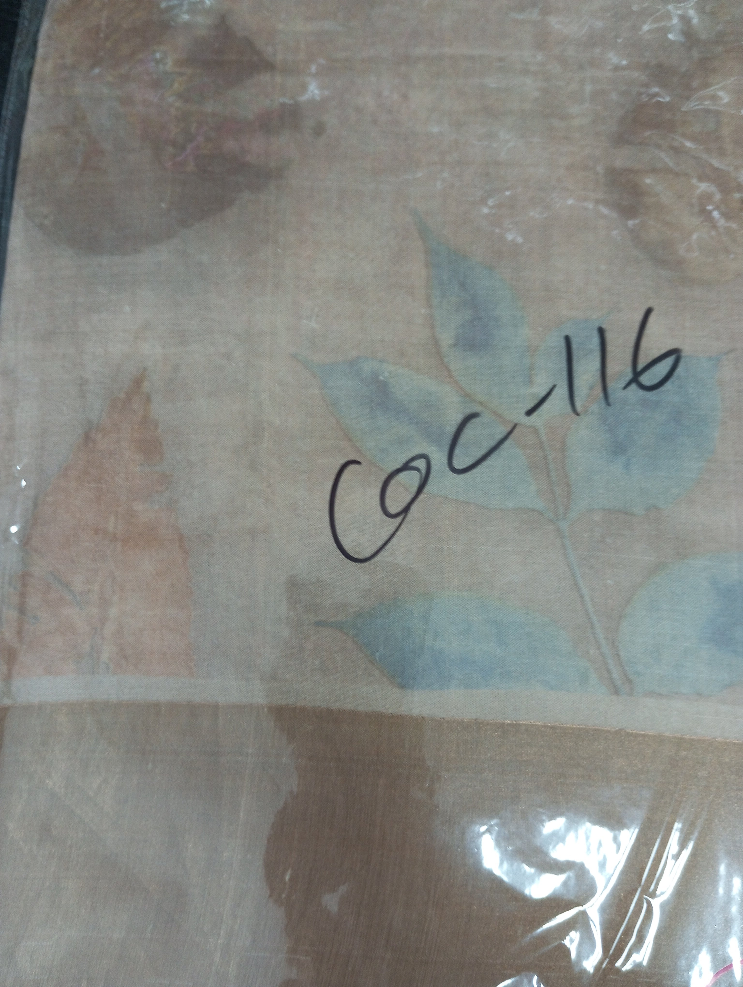 Digital Print With Zari Border Detailed  Tussar Saree | COC116