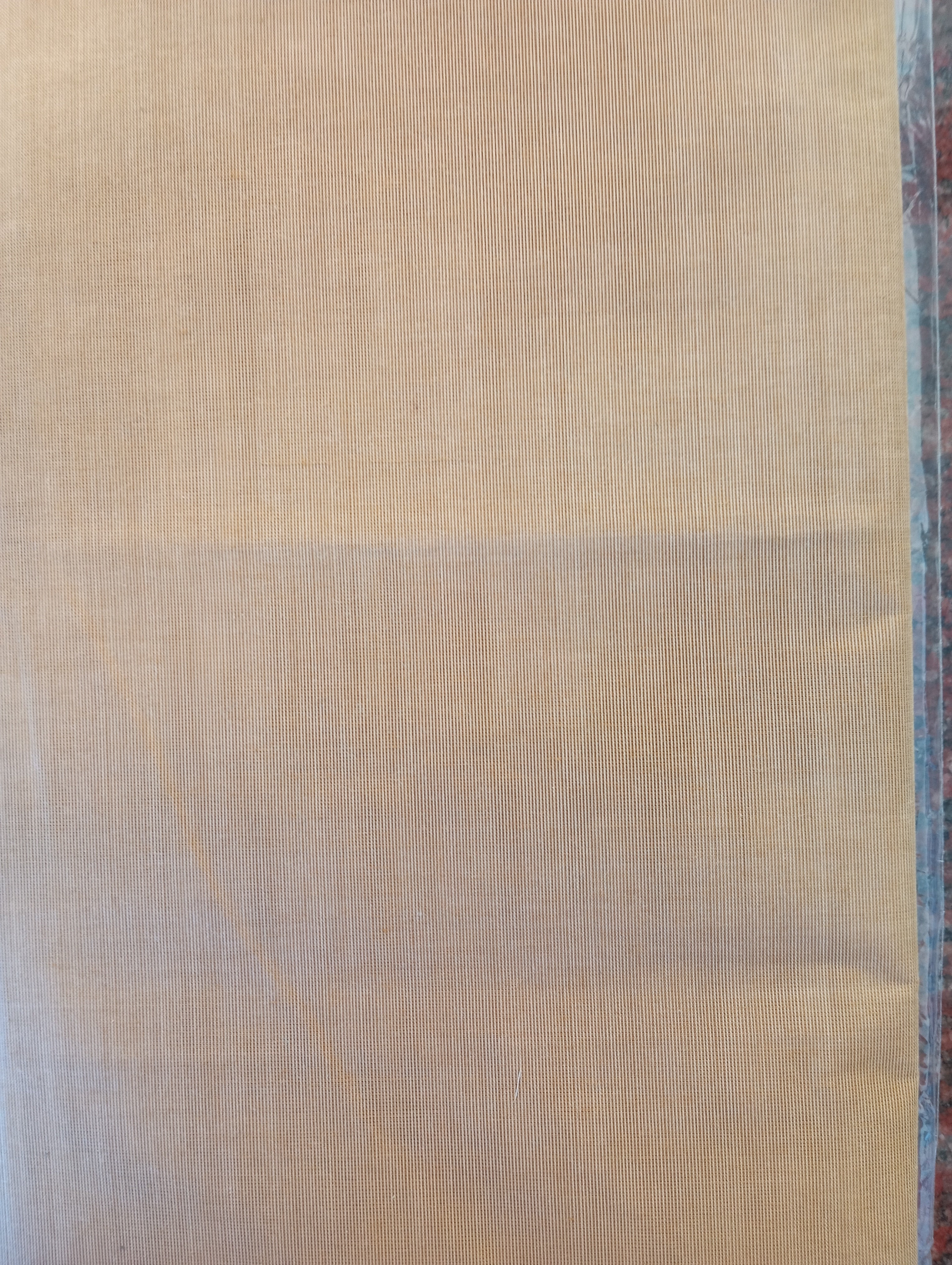 Solid Pattern Golden Zari Bordered Kanchi Cotton Saree | GAT517