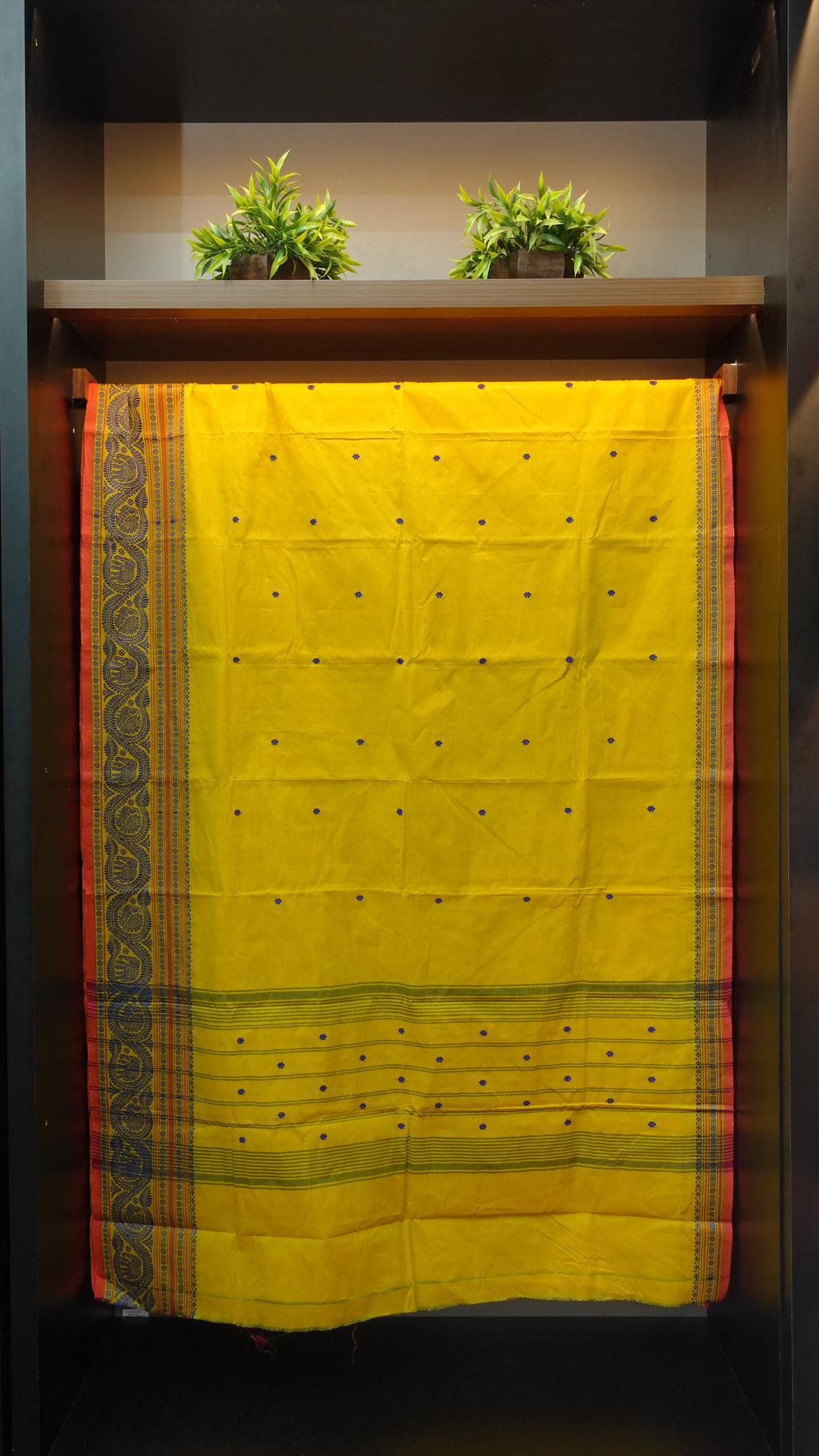 Traditional kanchi-cotton saree collection | SN437