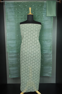 Schiffli Pattern With Viscose Organza Salwar Set | MS683