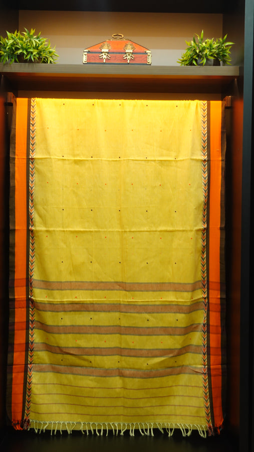 Soft Cotton Begampuri Handloom saree | TA102