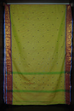 Traditional Kanchi Cotton Sarees | VR218