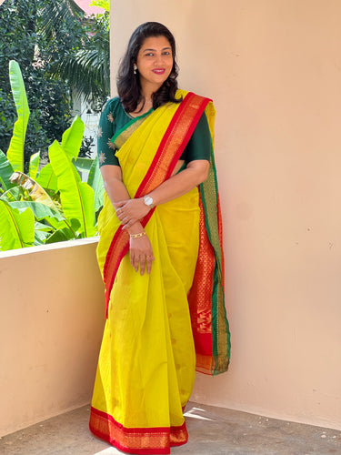 Gadwal Saree With Ganga Yamuna Border | AB254