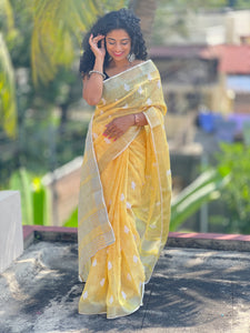 Elegant Machine Embroidered Bhagalpuri Linen Saree | RP117