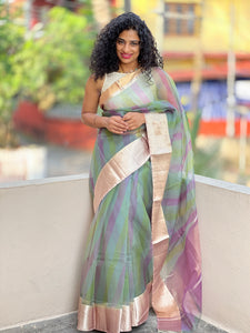 Organza Screen Printed Sarees | JCL654