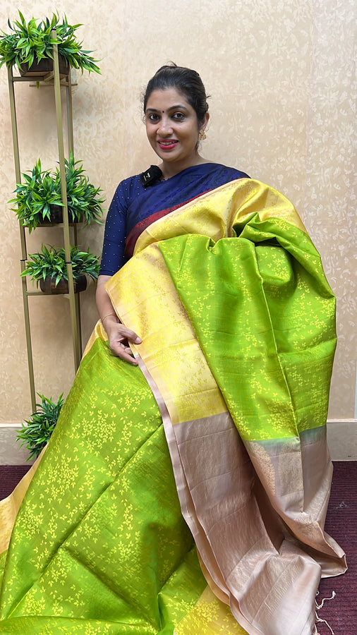 Traditional Kanchipuram Sarees With Rich Weave Pattern | AKS109