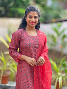 Panel stitched dress kurta with Dupatta | NI508